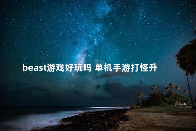 beast游戏好玩吗 单机手游打怪升级爆装备的游戏